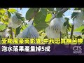 颱風與高溫天氣影響