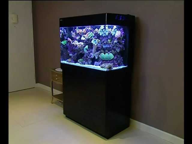 Red Sea MAX 250 ultimate all-in-one, Plug & Play, coral reef aquarium - YouTube