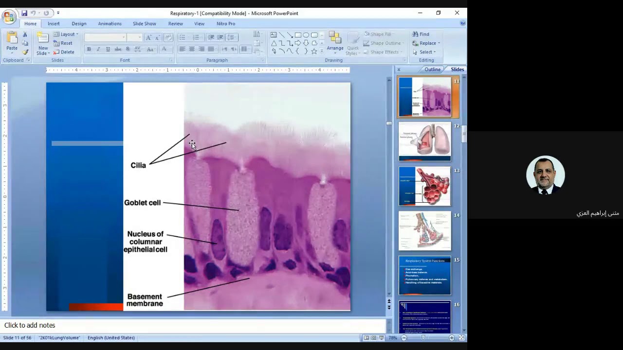 Respiratory System-1 - YouTube