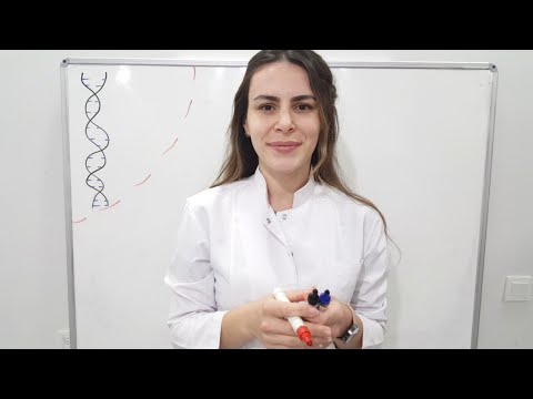 Video: Hücrede protein sentez yeri neresidir?