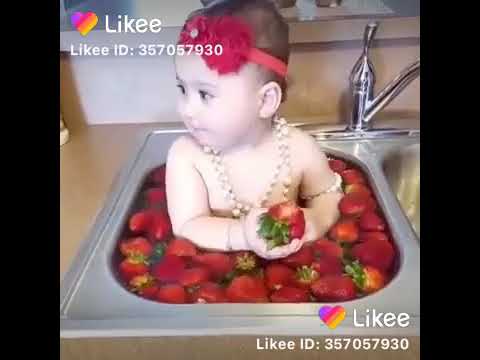 يا بنات يا بنات اللي مخلفش بنات