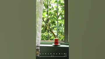 أرءيت  الذي ينهي عبدًا إذا صلي _القارئ :محمد رفعت _ سورة العلق #قرآن #ياسر_الدوسري #قرآن_كريم