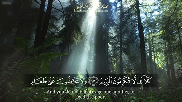 سورة الفجر للقارئ محمد كمال هاشم - Al-Fajr for The Reader Mohammed Kamal Hashem