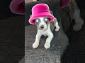 ai photo of annabel turned into video 🤣