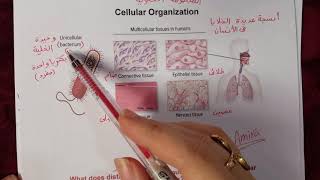 مقدمه علم الاحياء part  1