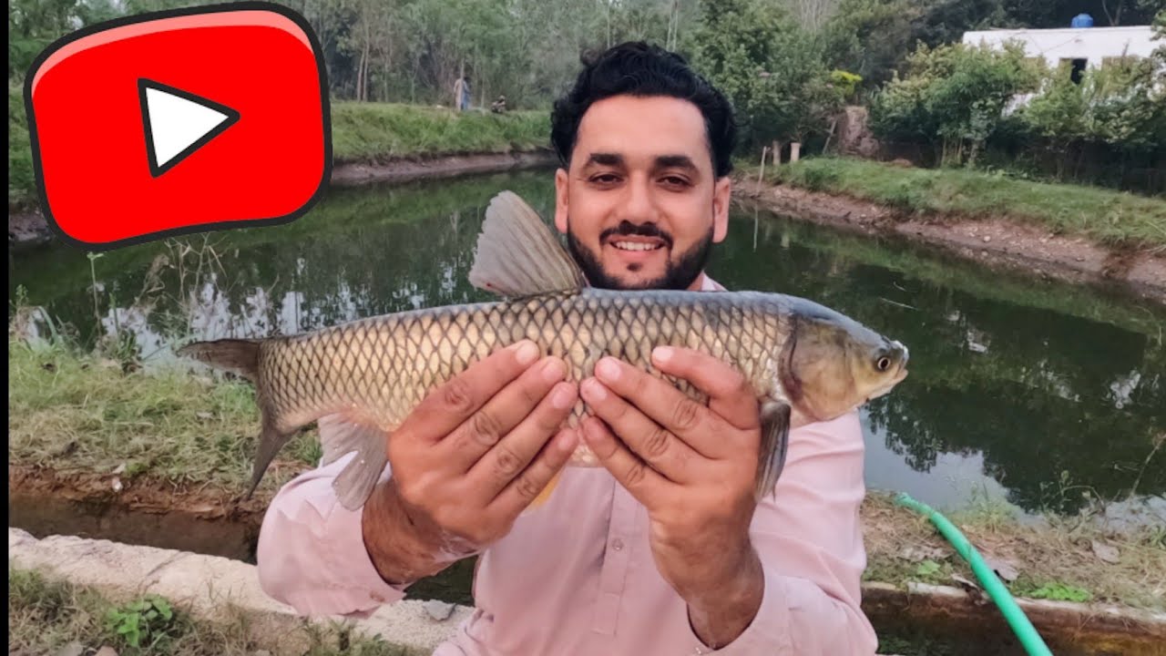 . Farmhouse Adventure! 🐓🎣 Goats, Hens & Pigeon Moments 🕊️ Unplugged Fun!