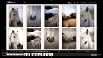 Pairing to Create Diptychs and Triptychs (Part 2)