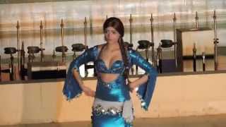 Belly Dance Alf Leila Wa Leila Night Show