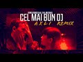 Irina Rimes feat. The Motans - Cel Mai Bun DJ | AxLi Remix |