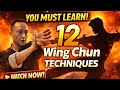 12 Wing Chun Techniques That Stop Any Attacker