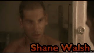 Shane Walsh | From The Inside | The Walking Dead (Music Video)