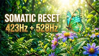 Somatic Healing ❯ 528Hz Nervous System Regulation | Active Morning Therapy Session