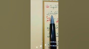 سورة هود الأية 54 إلى 56 القارئ سعد الغامدي #أرح_سمعك_وقلبك