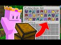 Minecraft manhunt but there are kits grand finale