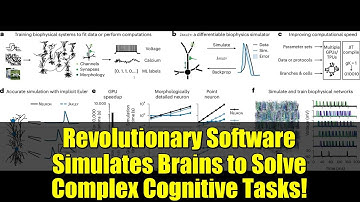 Revolutionary Software Simulates Brains to Solve Complex Cognitive Tasks!