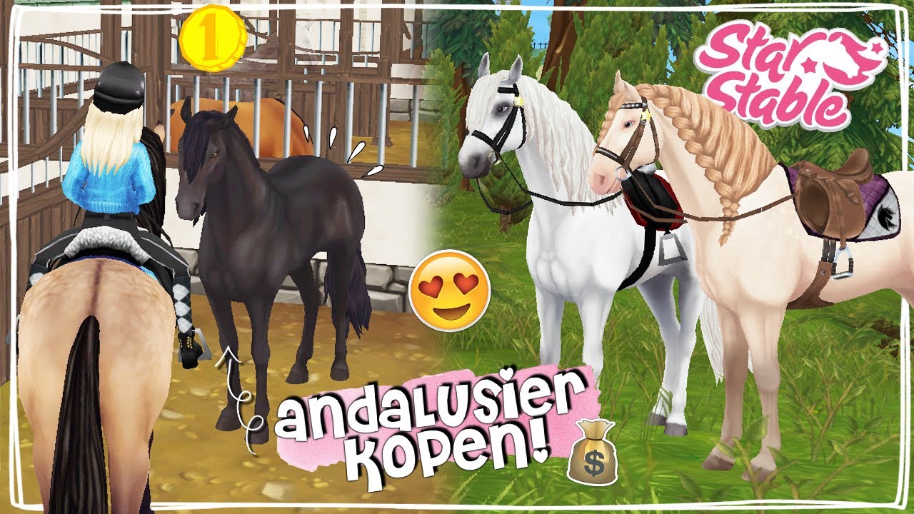 statistieken Vesting bladeren Nieuw DRESSUURPAARD KOPEN, de ANDALUSIER!! - Update | Star Stable Online |  Daphne draaft door - YouTube