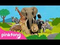 🦁Esta Es la Sabana 🐘🦓🦒| Canciones de Animales | Pinkfong Canciones Infantiles