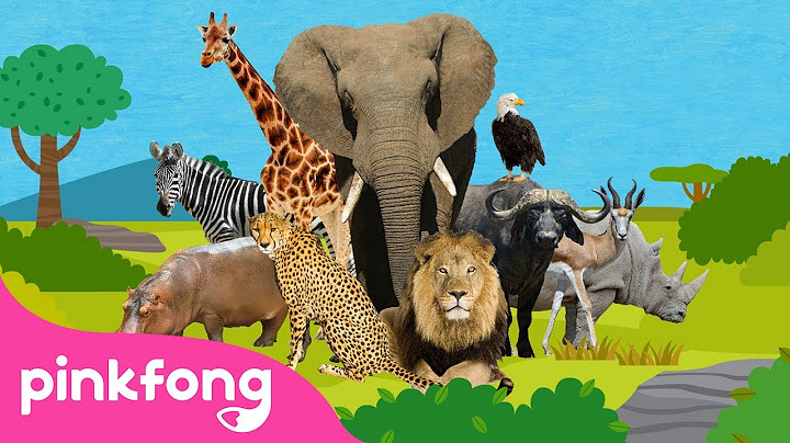 🦁Esta Es la Sabana 🐘🦓🦒| Canciones de Animales | Pinkfong Canciones Infantiles