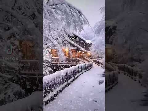 الشتاء احتراق   الثلج النار        البرد