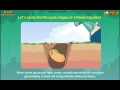 The Life Cycle of Plants and Their Essential Parts