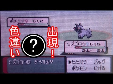 実況 オダマキ博士が色違いのミズゴロウくれた ポケモンサファイア Youtube