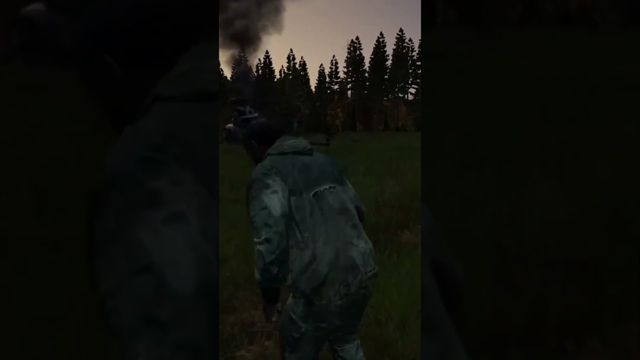 JUST AS YOUR ABOUT TO LOG OFF #dayz #dayzpvp #dayzloot #dayzclips #dayzgameplay