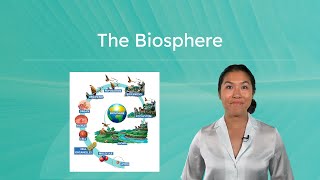 The Biosphere - Characteristics and Levels of the Biosphere