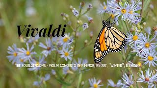 Video thumbnail of "Vivaldi - The Four Seasons - Violin Concerto in F Minor, RV 297, “Winter”, II. Largo"