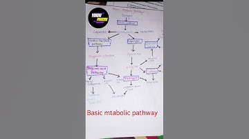 basic metabolic pathway #shorts