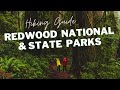 REDWOOD NATIONAL PARK HIKING GUIDE | ROAD TRIP UP NORTHERN CALIFORNIA