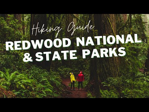 Vídeo: Prairie Creek Redwoods State Park: La guia completa