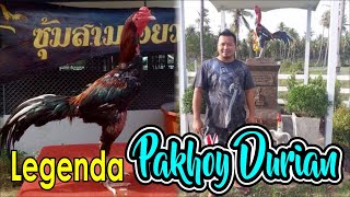 Legenda Ayam Pakhoy Durian Mr. Manop Phooteng