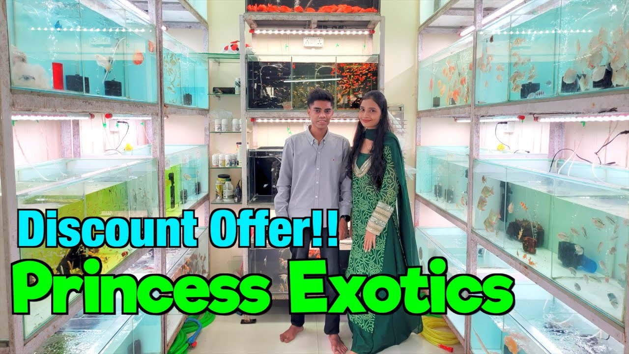 Discount Offer at Princess Exotics Aquarium I Delivery Available All Over India