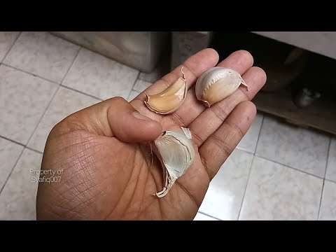 Tutorial membuat bawang hitam. 