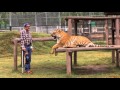 Jailed Tiger King's Joe Exotic TV Had New Videos 2 Months Ago
