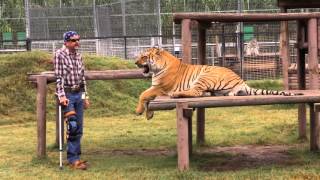 Joe Exotic's Video Message To Trump - Day 19