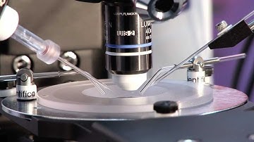 Scientifica Universal Motorised Stage - Electrophysiology Microscopy moving stage - Quick Guide