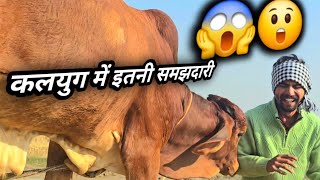 बोलने वाला छोटा सा ब** देखकर आप हैरान हो जातेंगे 😲 || #sunehrigaay 