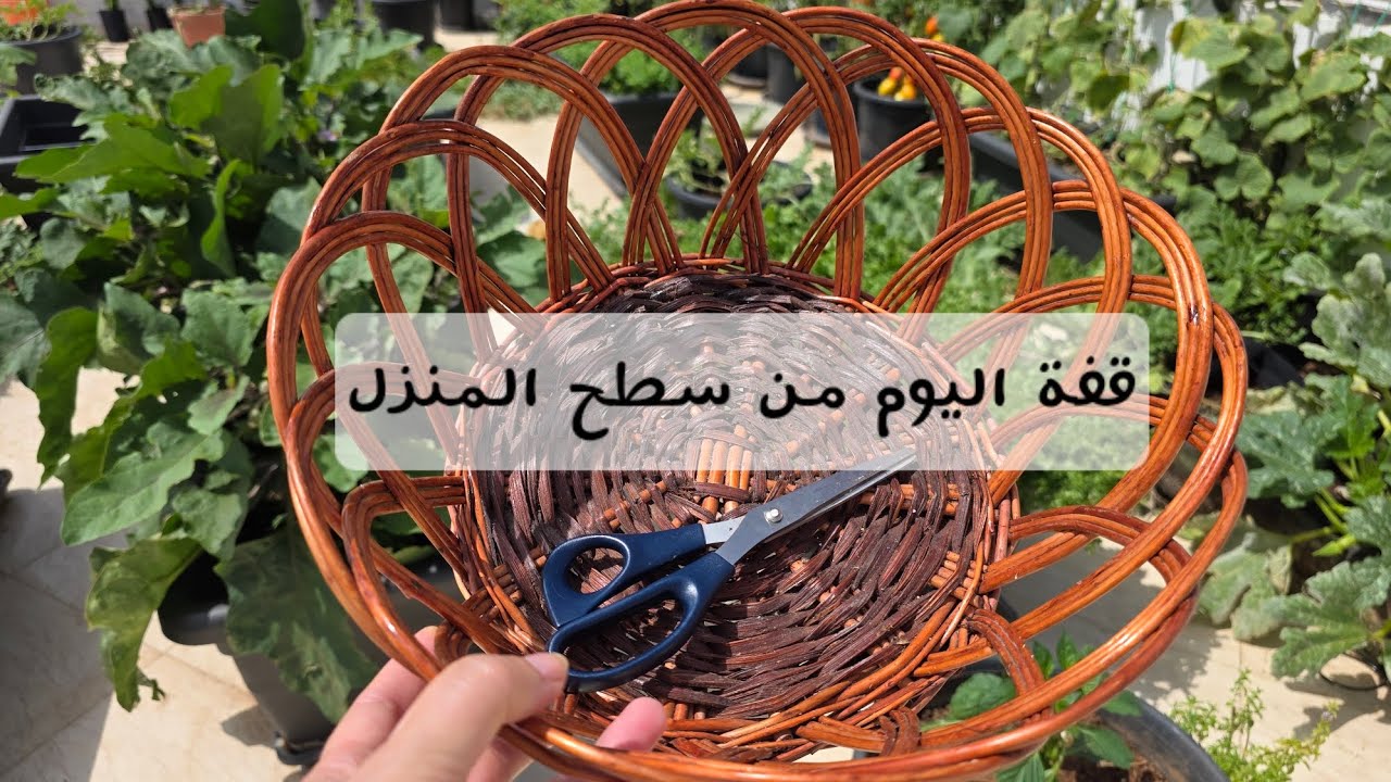 اجيو شوفو معايا شنو جنيت اليوم من سطح الدار 😍🙏