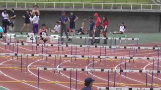 2017全関東MDPV 男子110mHタイムレース決勝 村山