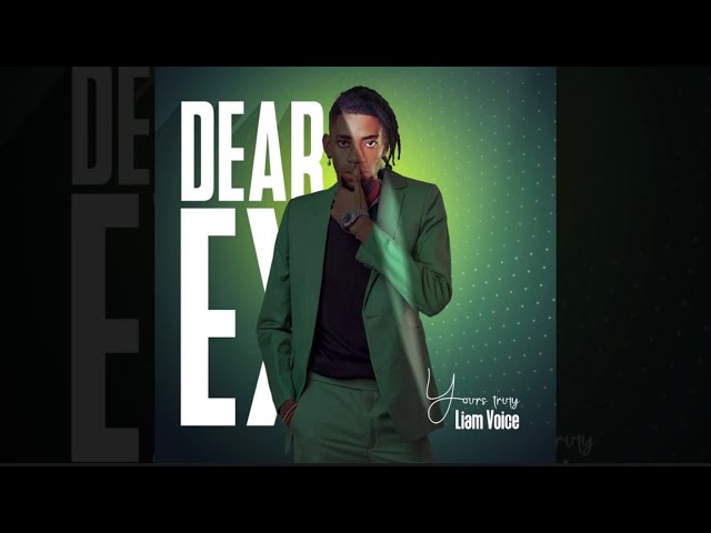 Liam Voice - Dear Ex (Audio) class=