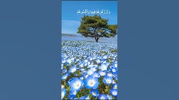 دقيقة من القرآن الكريم بصوت الشيخ ماهر المعيقلي سورة آل عمران #قرآن #قرآن_كريم #قران #religion