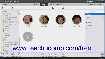 Photoshop Elements 2019 Tutorial The Organizer Environment Adobe Training