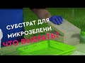 Обзор субстратов для микрозелени. Универсальное решение —Каменная вата.