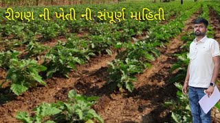 Ringan Ni Kheti Ni Sampurn Mahiti, રગણ ન ખત ન સપરણ મહત