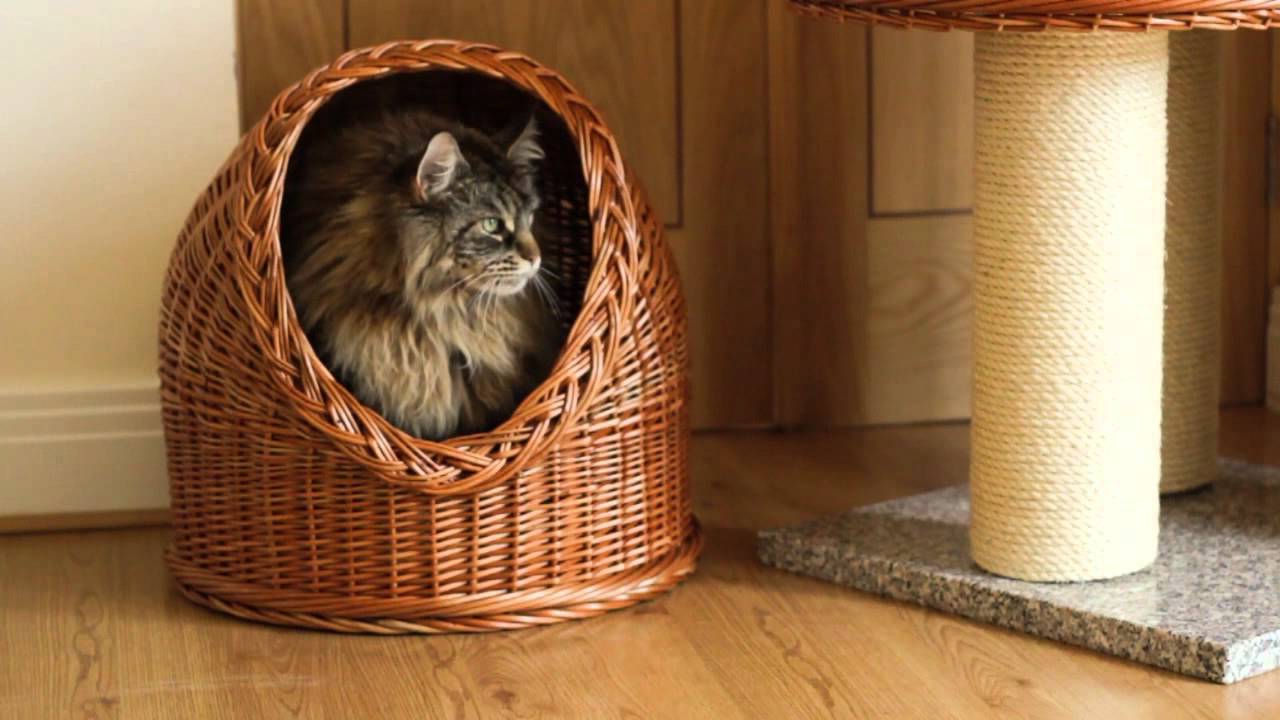 wicker cat igloo