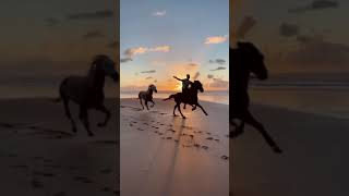 Wild &amp; free 🐴 Horseback riding on a beach in Morocco 🇲🇦📍 Essaouira, Morocco