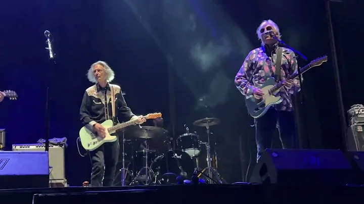 ROBYN HITCHCOCK Feat  LENNY KAYE I Wanna Destroy Y...