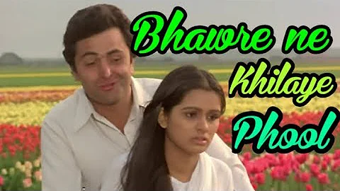 Bhawaren Ne Khilaya Phool | Eagle Jhankar | Prem Rog | Suresh Wadkar | Lata Mangeshkar | Geet Mahal