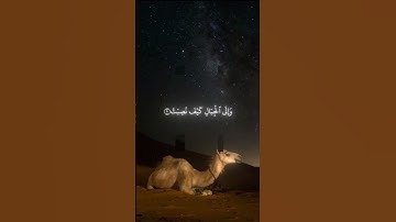 ما تسير من سورة الغاشيه #القرآن_الكريم #اكسبلور